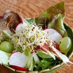 Pegando leve – mais uma salada